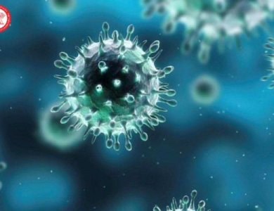 Cảnh báo 1 loại virus có tốc độ lây gấp 4 lần cúm mùa: Dễ bùng phát vào mùa lạnh