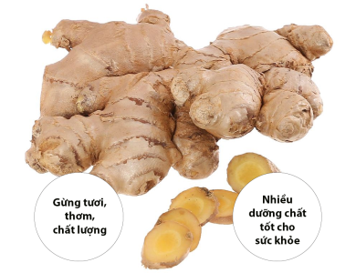 Điều gì xảy ra với huyết áp, cholesterol khi ăn gừng?
