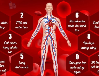 Tất thảy là hư không - Bác sĩ Trịnh Đăng Khoa