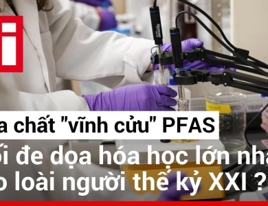 'Hóa chất vĩnh cửu' có thể làm yếu xương trẻ em