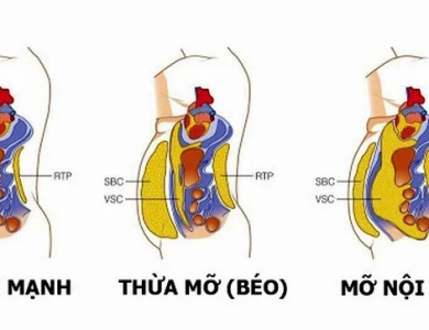 Chế Độ Ăn Dễ Nhất Giúp Loại Bỏ Mỡ Nội Tạng Nhanh Chóng (Tiến sĩ Mark Hyman)