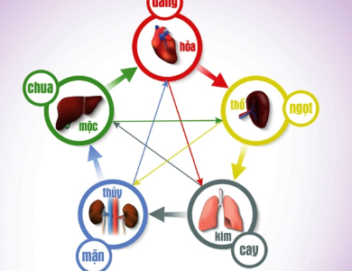5 Cách Bảo Quản Lục Phủ Ngũ Tạng Để Sống Khỏe Theo Đông Y