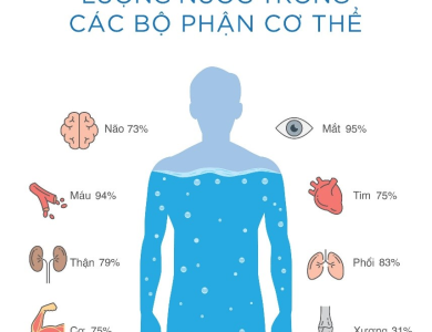 Nước phân bố trong cơ thể như thế nào?