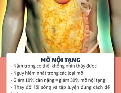 Không chỉ người béo mà cả người gầy cũng đầy… mỡ nội tạng