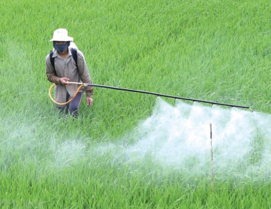 Nghiên cứu chấn động: Thuốc diệt nấm có thể tàn phá sức khỏe 20 thế hệ
