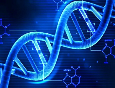 Gene di truyền là yếu tố chính quyết định tuổi thọ con người