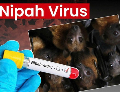 TP.HCM: Chưa ghi nhận ca Nipah tại Việt Nam, thành phố có nguy cơ thấp