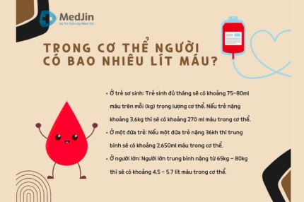 Trường ĐH Nguyễn Tất Thành ký kết hợp hợp tác chiến lược với Công ty TNHH VINASUKE
