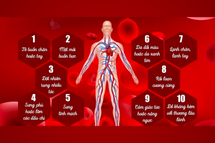 Trường ĐH Nguyễn Tất Thành ký kết hợp hợp tác chiến lược với Công ty TNHH VINASUKE