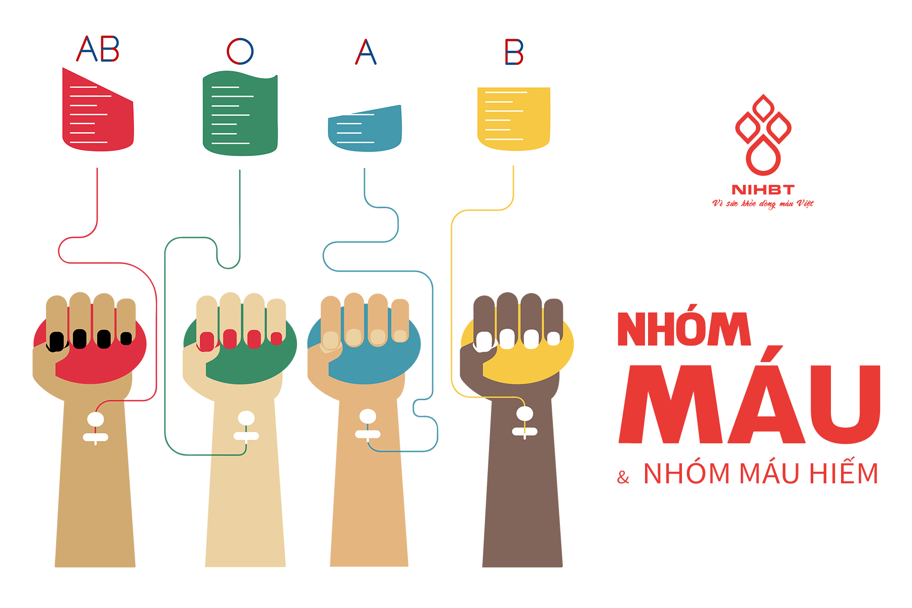Nhóm máu ảnh hưởng như thế nào đến tính cách và sức khỏe của bạn?