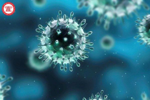 Cảnh báo 1 loại virus có tốc độ lây gấp 4 lần cúm mùa: Dễ bùng phát vào mùa lạnh