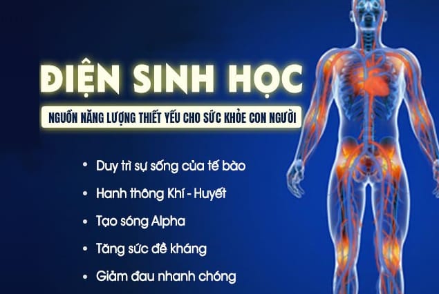 Điện sinh học là gì?