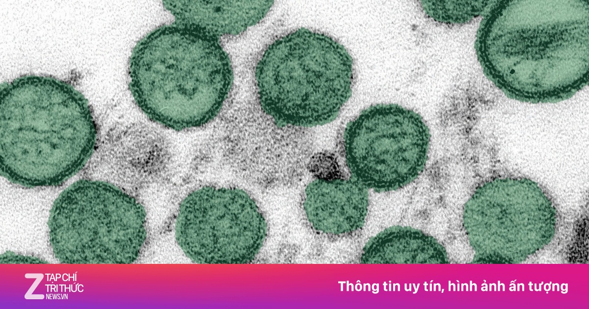 Bộ Y tế thông tin về diễn biến dịch bệnh trong nước