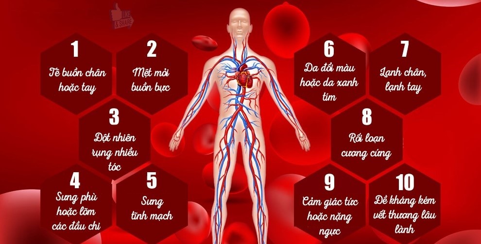 Tất thảy là hư không - Bác sĩ Trịnh Đăng Khoa