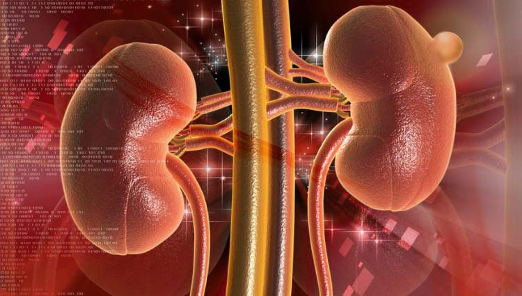 5 thói quen buổi sáng phổ biến âm thầm hại thận