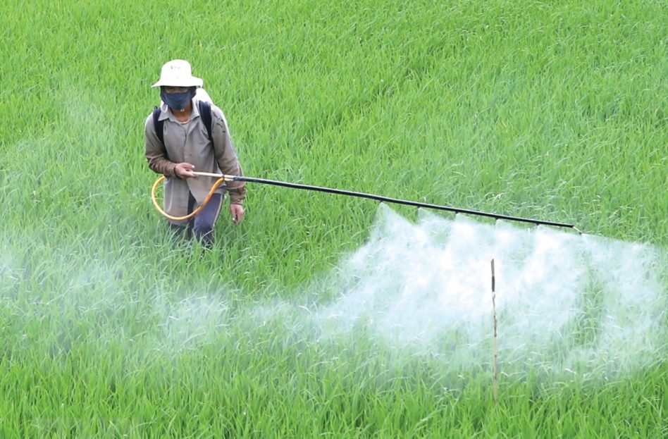 Nghiên cứu chấn động: Thuốc diệt nấm có thể tàn phá sức khỏe 20 thế hệ