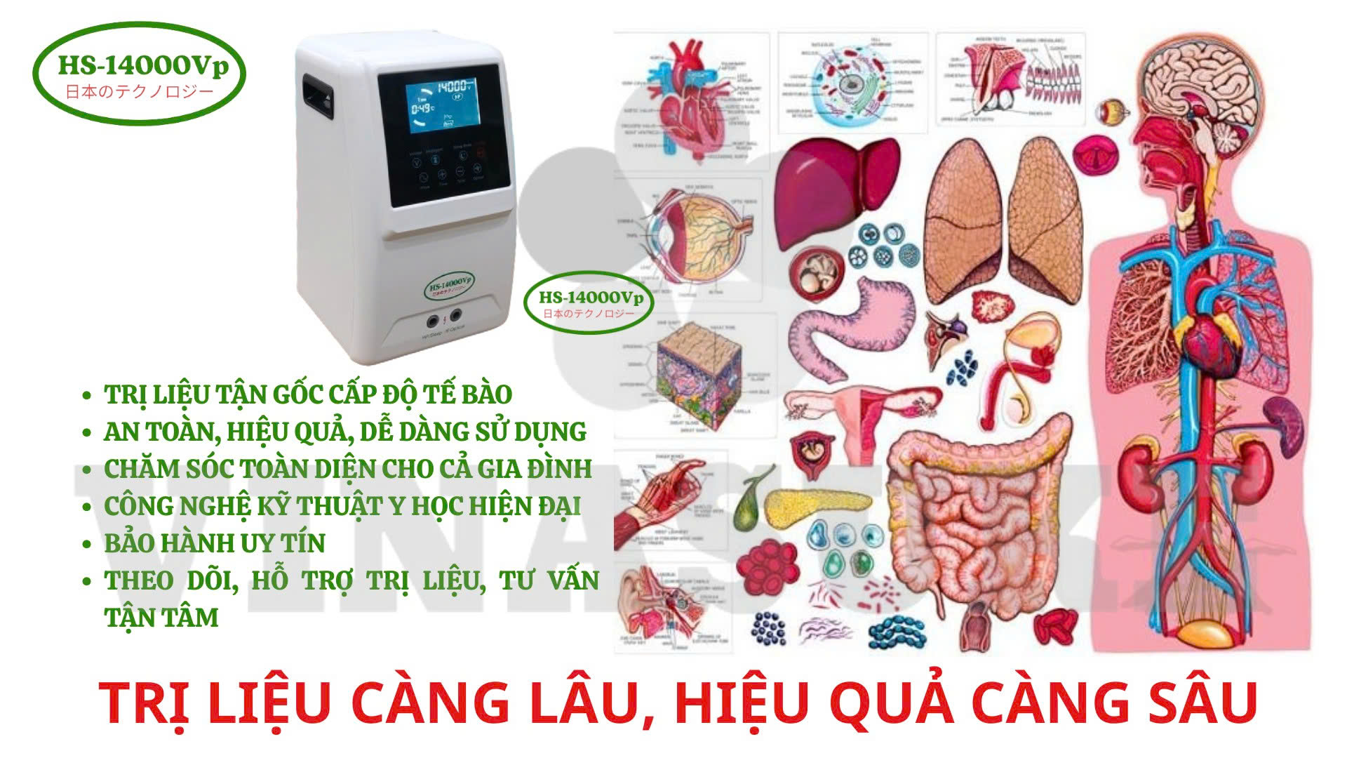  Tắc nghẽn mạch máu & giải pháp điện trường HS-14000Vp